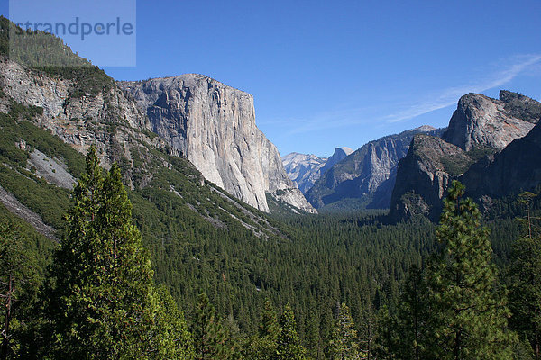 Erhöhte Ansicht der Bäume im Wald  Yosemite-Nationalpark  Kalifornien  USA