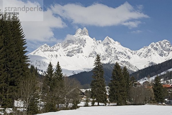 Bäume vor Berg  Dachstein Berge  Filzmoos  St. Johann Im Pongau  Salzburg  Österreich