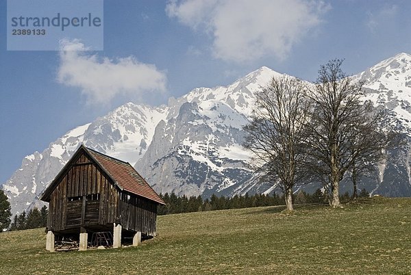 Hütte im Feld mit Gebirge im Hintergrund  Dachstein Berge  Ramsau am Dachstein  Bezirk Liezen  Steiermark  Österreich