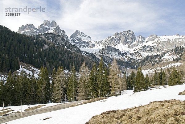 Bäume vor Berg  Filzmoos  St. Johann Im Pongau  Salzburg  Österreich