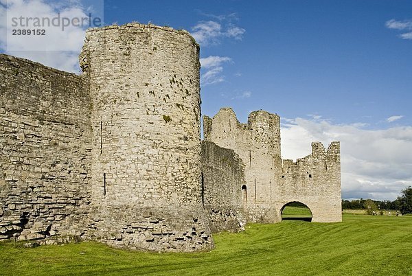 Alte Ruinen der Burg  Trim Castle  County Meath  Leinster  Irland