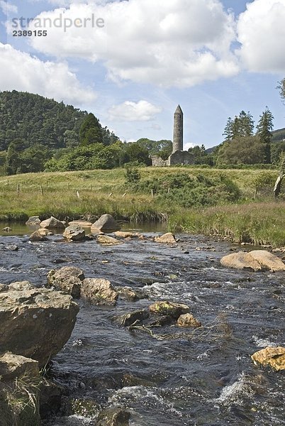 Fluss  der durch Landschaft  Glenealo River  Irland