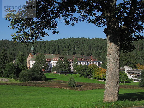 Bäume vor Hotel  Friedenweiler  Schwarzwald  Baden-Württemberg  Deutschland