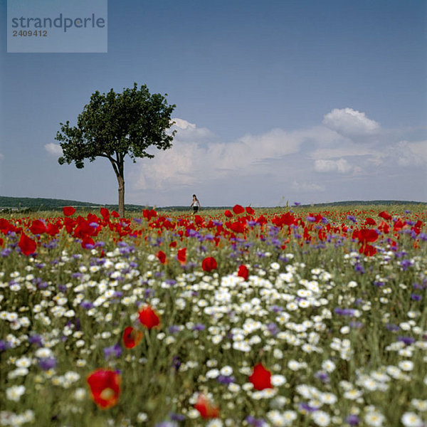 Eine entfernte Person steht auf einem Feld voller Wildblumen.