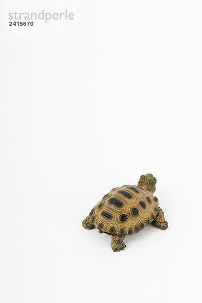 Spielzeugschildkröte  Nahaufnahme