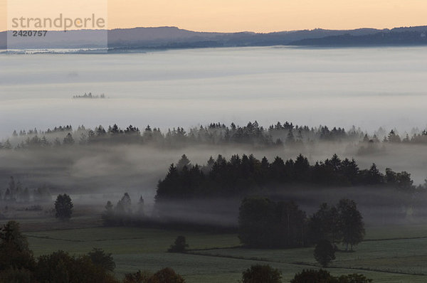 Germany  Bavaria  Landscape in morning mist
