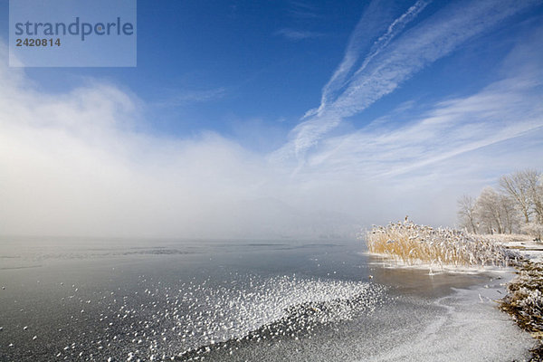 Germany  Bavaria  Murnau  Lake in winter