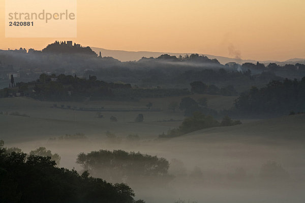 Italy  Tuscany  Morning mist