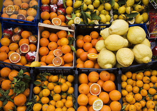 Vielfalt an Zitrusfrüchten  Marktstand  erhöhte Aussicht