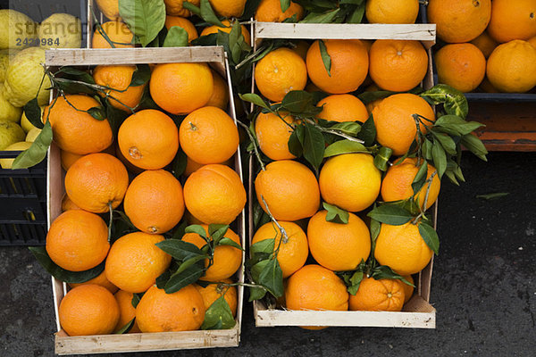Orangen in Kisten  Marktstand  erhöhte Ansicht