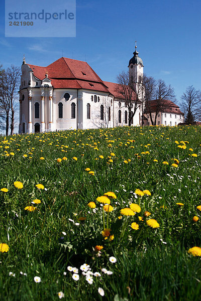 Deutschland  Bayern  Wieskirche  Wallfahrtskirche