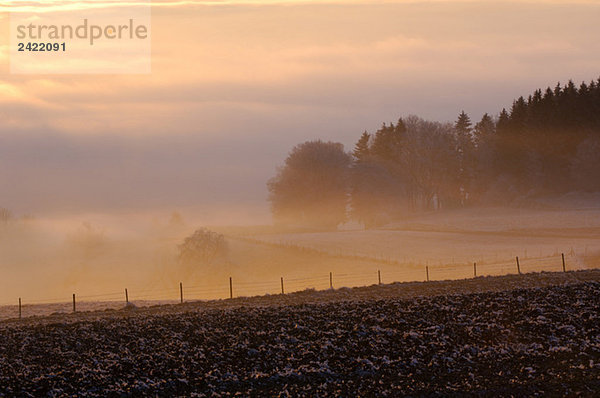 Germany  Deggenhausertal  fog over fields