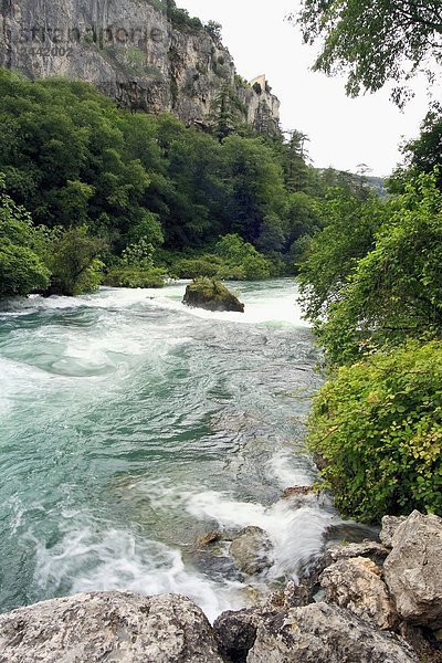 Fluss  der durch Wald  Fontaine de Vaucluse  Provence-Alpes-Côte d ' Azur  Frankreich