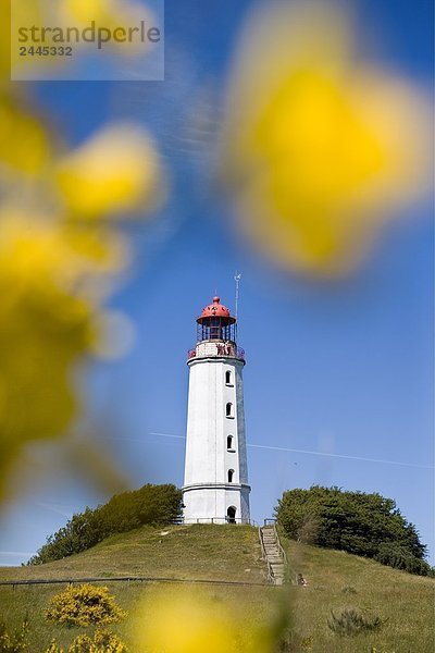 Untersicht der Leuchtturm  Dornbusch Leuchtturm  Hiddensee  Rügen  Mecklenburg-Vorpommern Deutschland