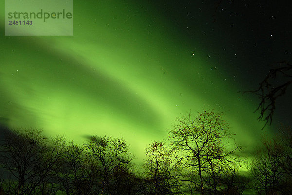 Finnland  Lappland  Aurora borealis