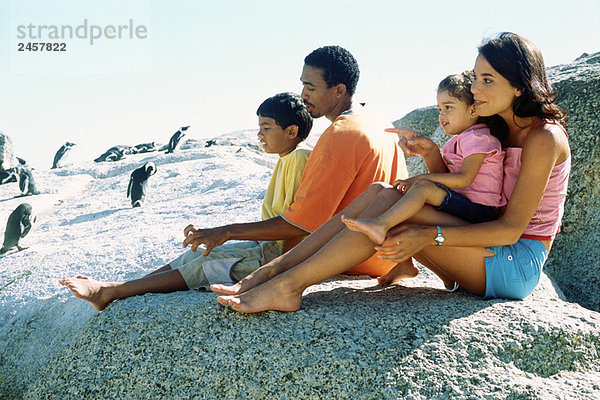 Familie auf Felsen sitzend  Pinguine beobachtend