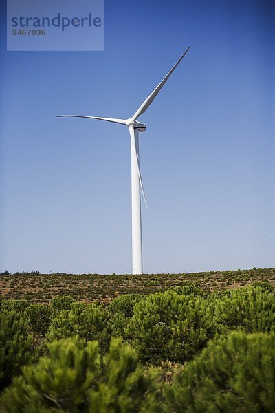 Windturbine Windrad Windräder Feld