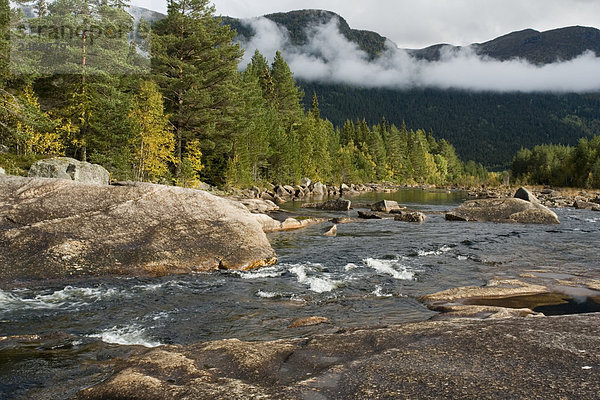 Fluss  der durch Wald  Norwegen