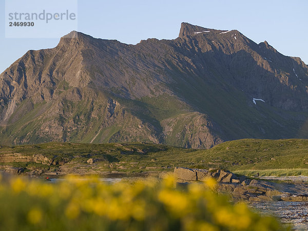 Zusammengerollte Gras mit Berg im Hintergrund  Leknes  Gemeinde Vestvagoy  Lofoten  Fylke Nordland  Norwegen