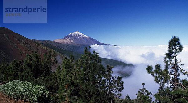 Nebel um Berg  Pico Del Teide  Teneriffa  Kanaren  Spanien