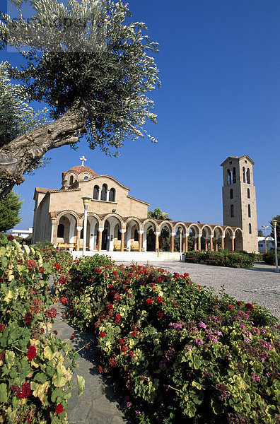 Blumen vor der Kirche  Faliraki  Rhodes  Dodecanese Inseln  Griechenland