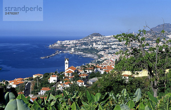 Stadt an der Küste  Funchal  Madeira  Portugal