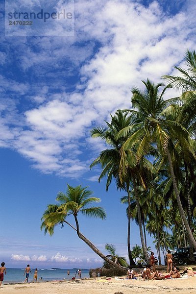 Tourismus in der Nähe von Palmen am Strand  Las Terrenas  Provinz Samana  Dominikanische Republik