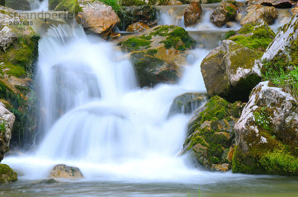 Wasserfall im Wald  Steiermark  Österreich