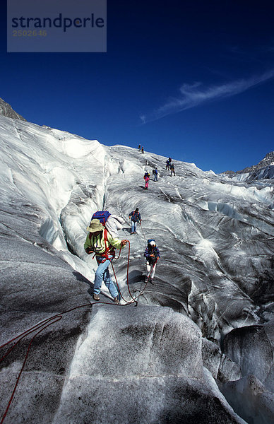 Schweiz  Aletsch  den Gletscher