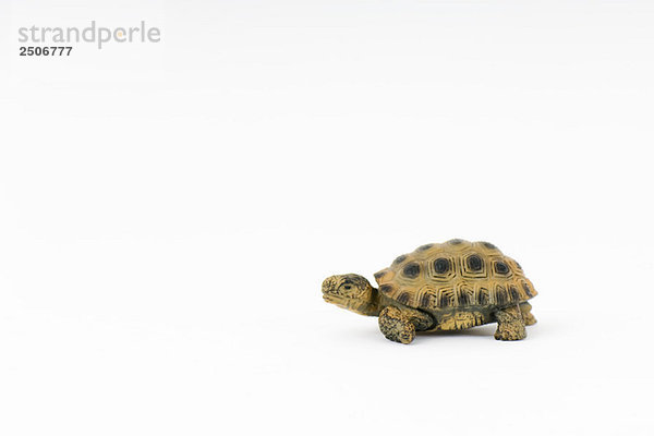 Spielzeugschildkröte  Seitenansicht  Nahaufnahme