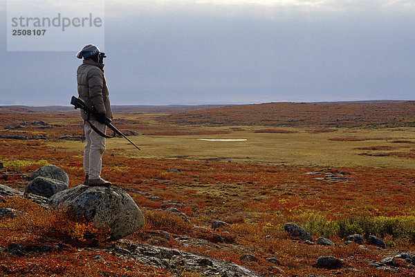 Felsbrocken stehend sehen offen Herbst Jagd Karibu Wood-Tikchik State Park Tundra