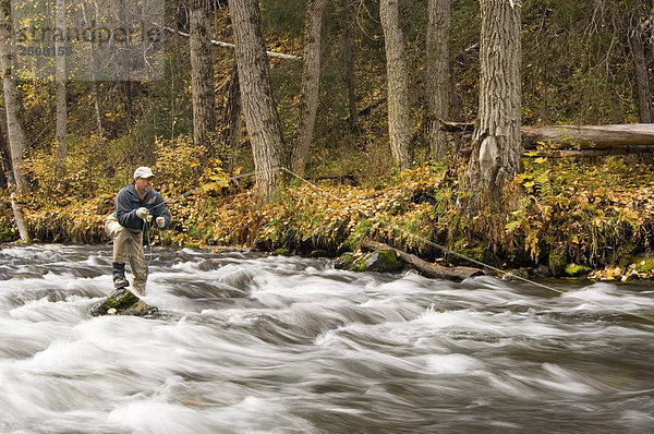 Fluss Herbst Fliegenfischen Kenai-Fjords-Nationalpark Alaska Halbinsel russisch