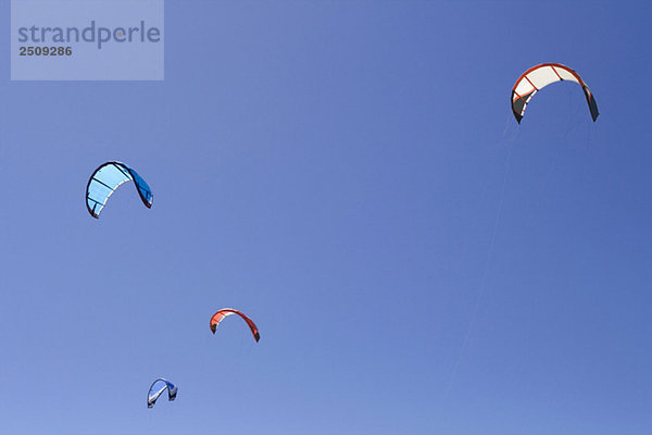 Drachen fliegen gegen den blauen Himmel