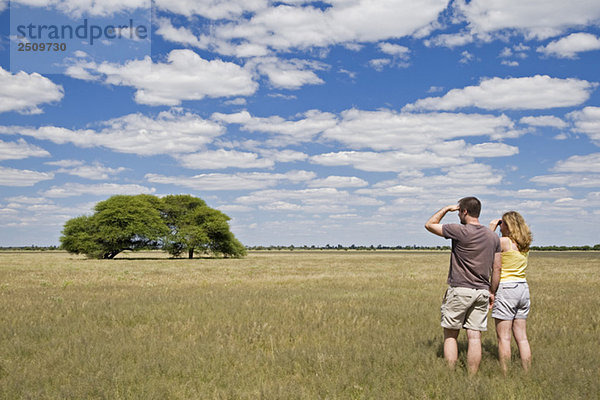 Africa  Botswana  Tourists looking at the landscape