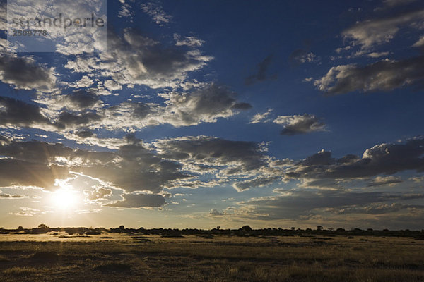 Africa  Botswana  Sunset over Savanna