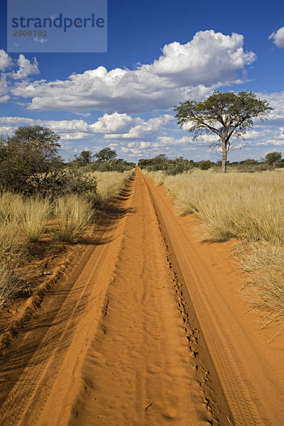 Africa  Botswana Track through Kalahari Desert