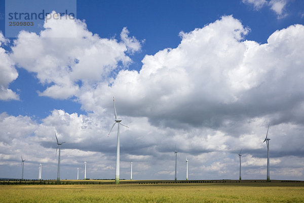 Germany  Saxony-Anhalt  Wind turbines in field