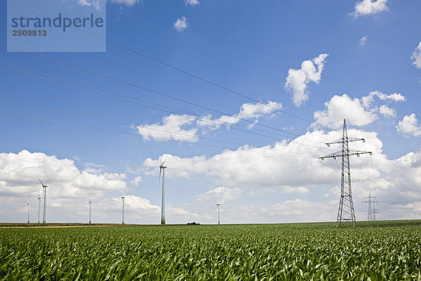 Deutschland  Sachsen-Anhalt  Bereich Windkraftanlagen und Strommasten