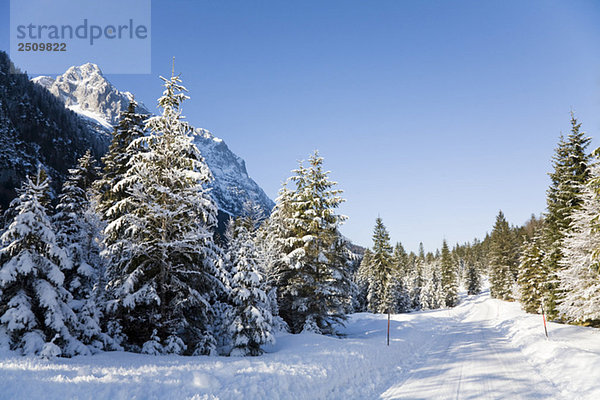 Deutschland  Bayern  Winterlandschaft im Hintergrund Wettersteingebirge