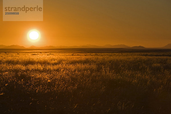 Afrika  Namibia  Aus  Sonnenuntergang