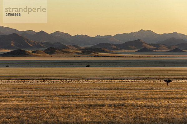 Afrika  Namibia  Sonnenaufgang  Tirasgebirge und Namibwüste