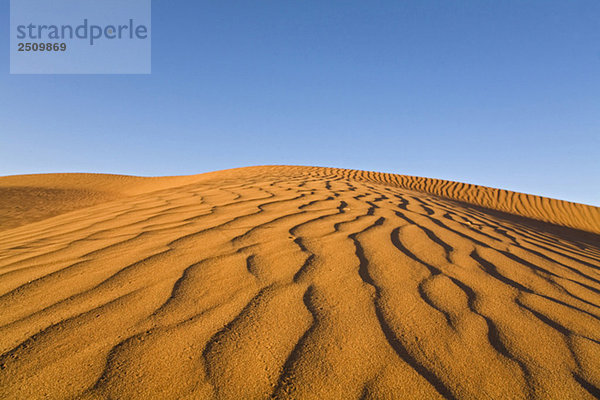 Afrika  Namibia  Namib Wüste  Sanddünen