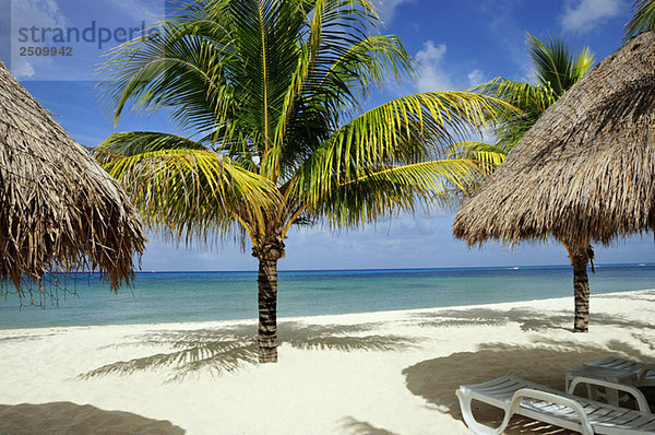 Mexiko  Cozumel  Strandstuhl und Palapas am tropischen Strand