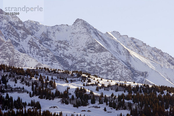 Schweiz  Graubünden  Falera  Schneelandschaft
