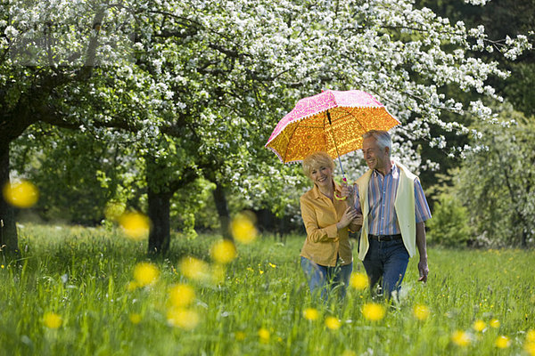 Deutschland  Baden Württemberg  Tübingen  Seniorenpaar auf der Wiese mit Regenschirm