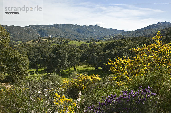 Landschaft Sardinien