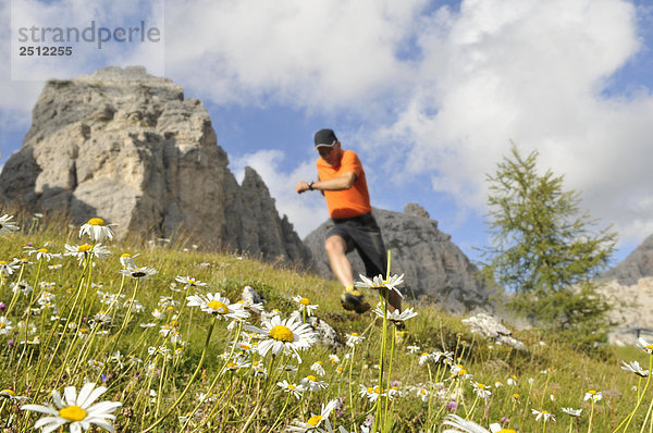 Untersicht of älterer Mann ausführen im Feld  Trentino-Alto Adige  Italien