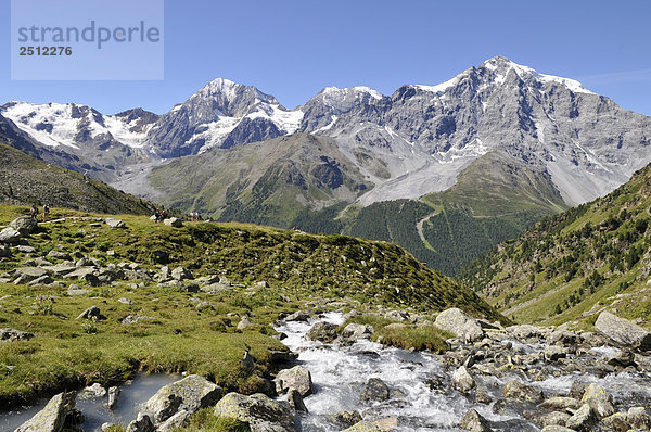 Strom  der durch Tal  Ortler  Italien--Österreich