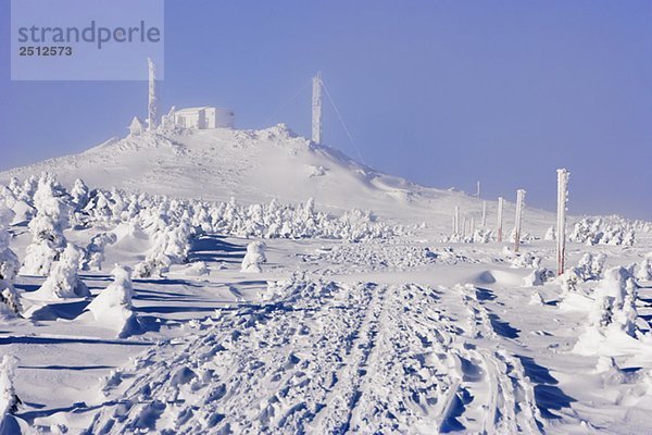 View of path and snow-covered trees at top of Mont Logan  Quebec  Canada