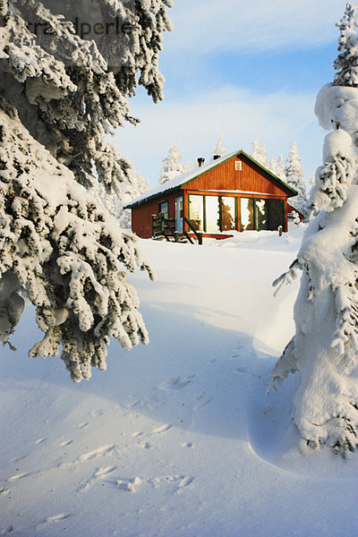 View of La Nictale shelter and snow-covered trees  Quebec  Canada